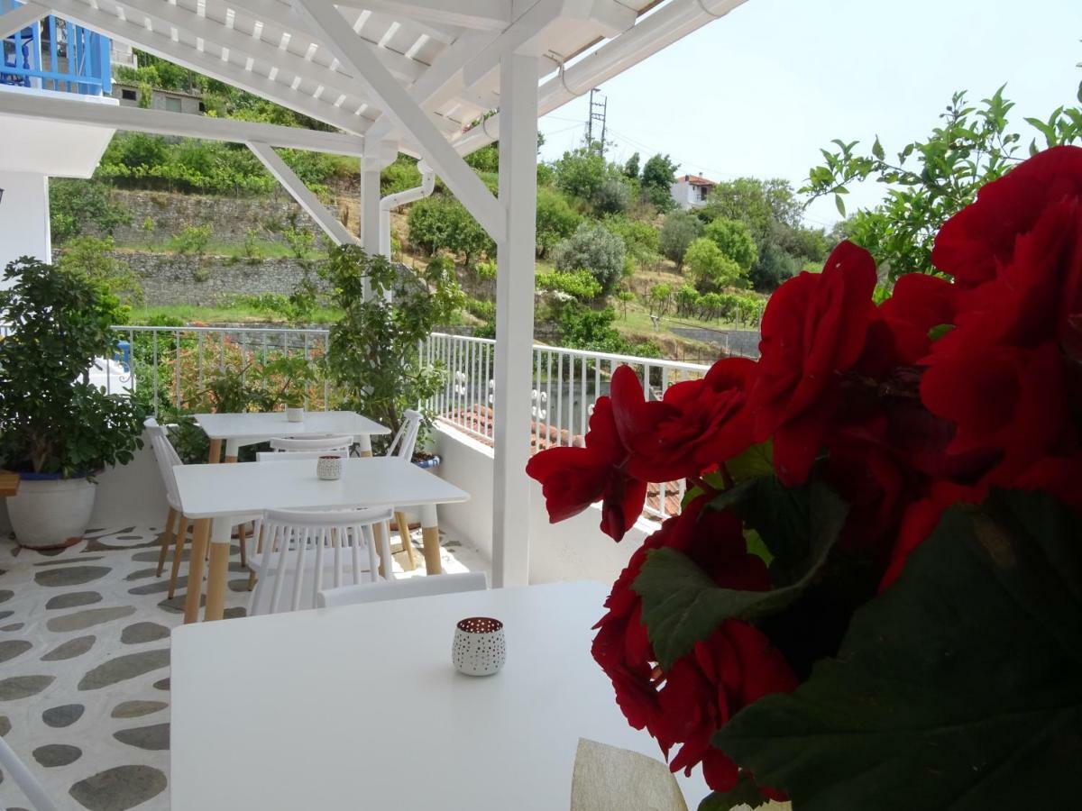 Βίλλα Γαλήνη Aparthotel Πατητήρι Εξωτερικό φωτογραφία